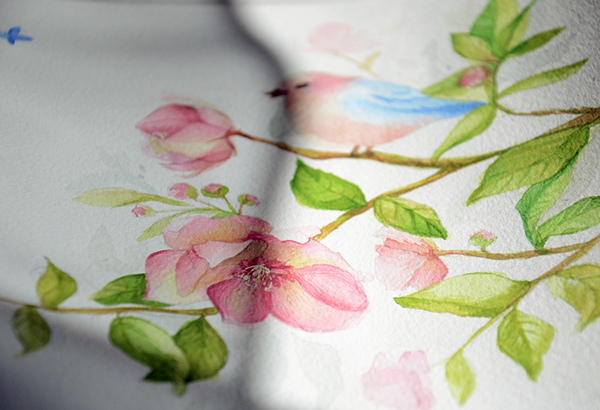 9cb65019402383-562d9c84cdfc9