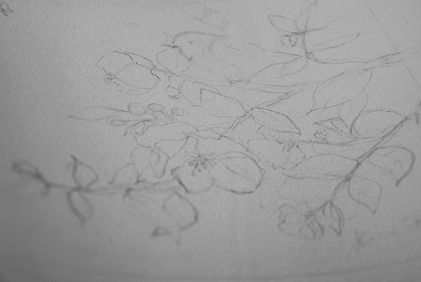 b6431419402383-562d9c84d30d0